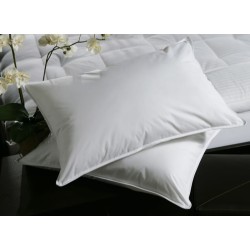 Classic Super Soft Cushion