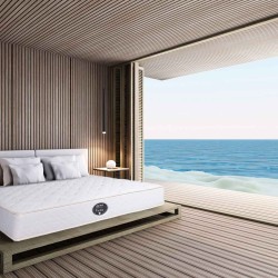 مرتبة فيرو-بلس-بوكيت