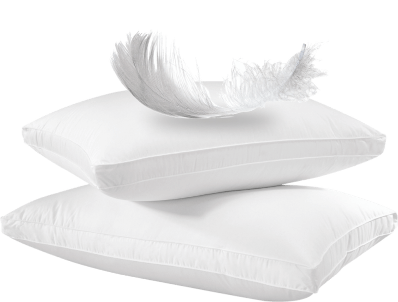 4* Fine Richie Pillows 70*50 cm